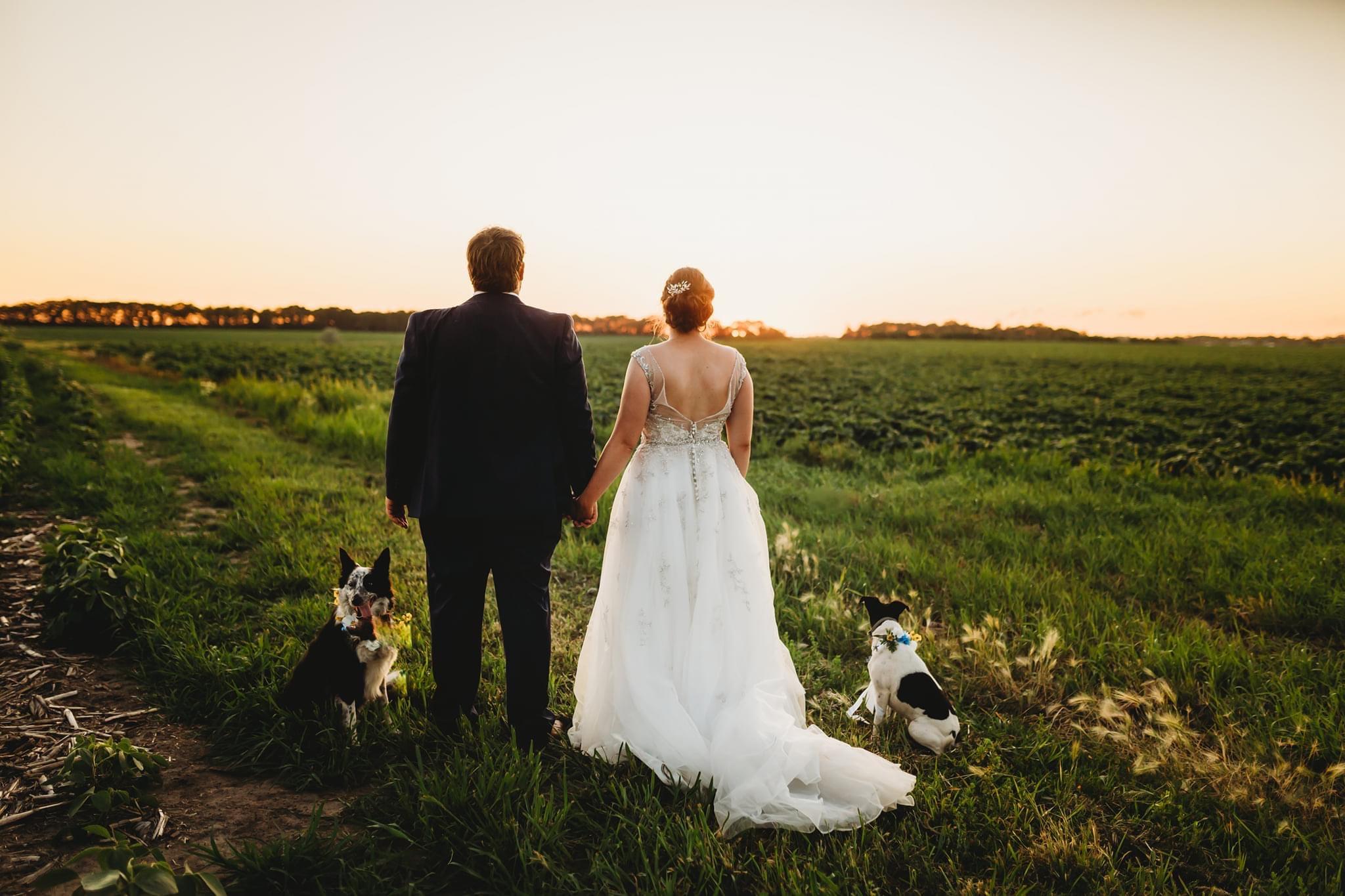 The Wedding Website of Samantha Bergjord and Luke Bergjord