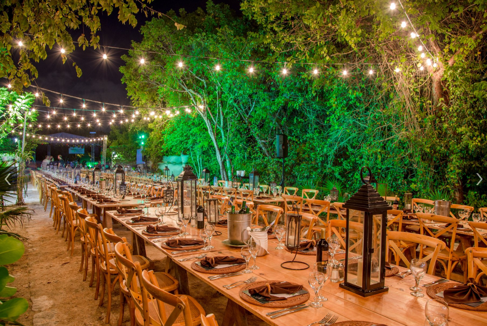 The Wedding Website of Shandale McGee and Erik Nygaard