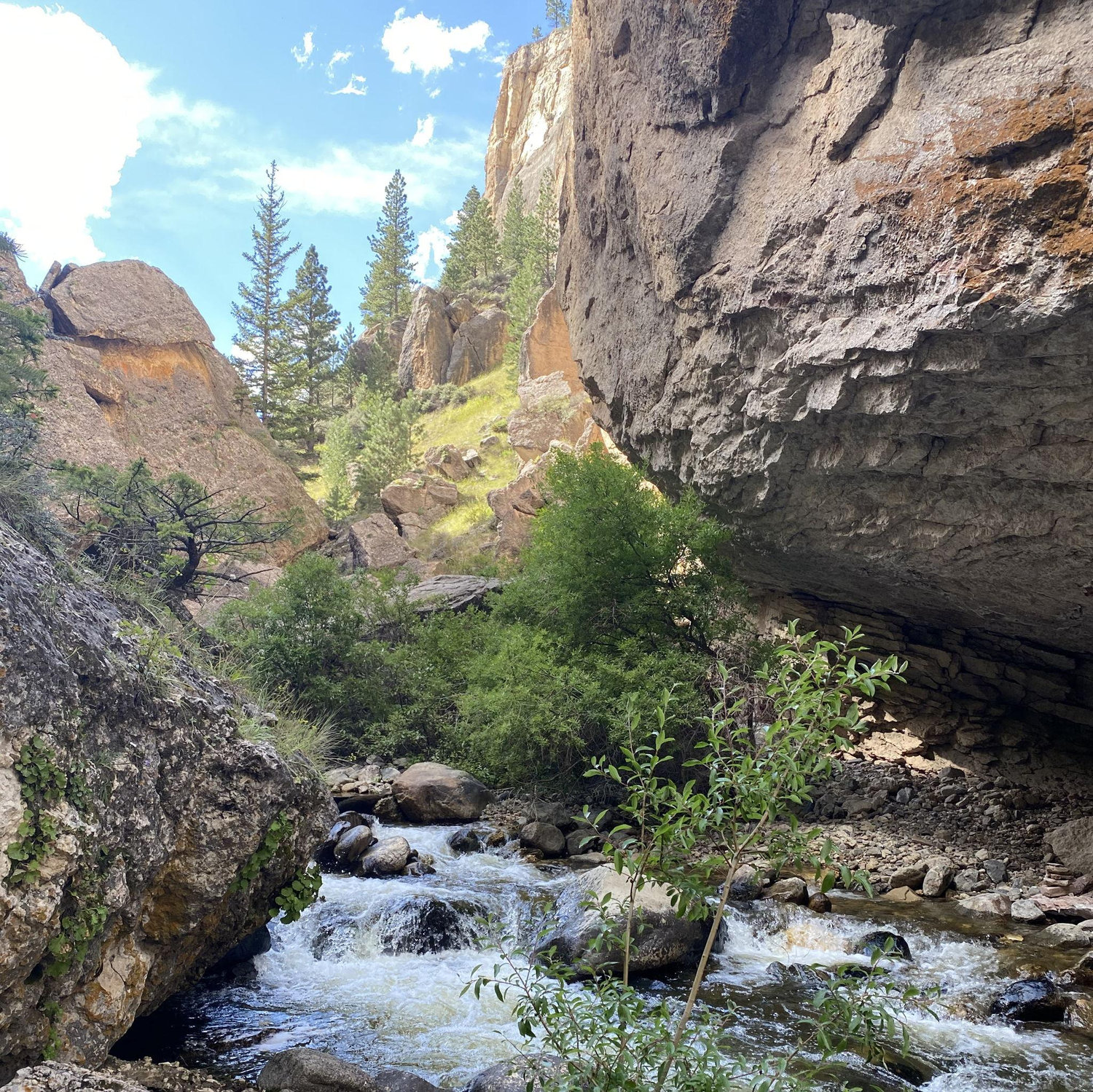 Crazy Woman Canyon