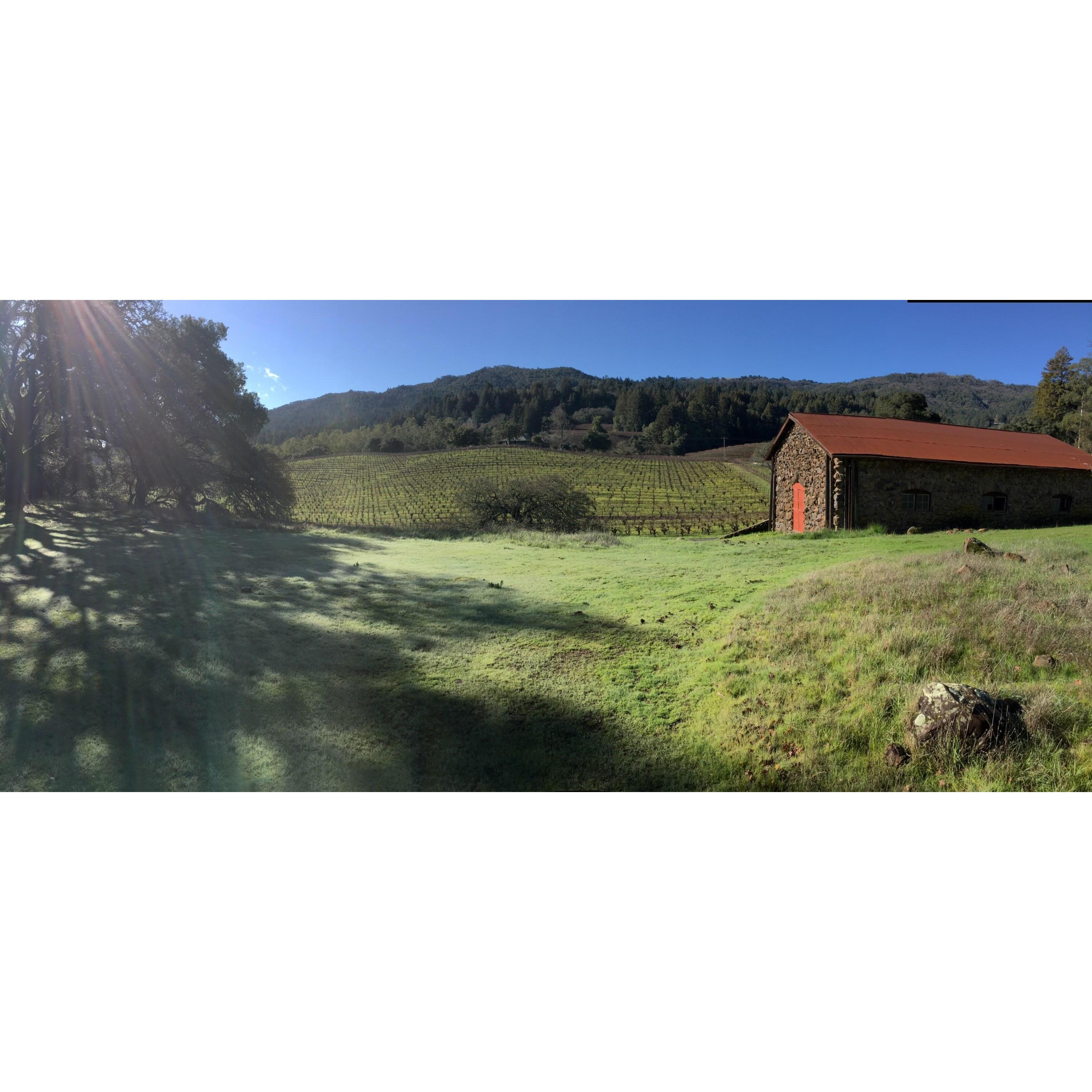 Jack London State Historic Park, Kenwood Vineyards, and Sonoma Mountain