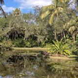 Johns Island Creek