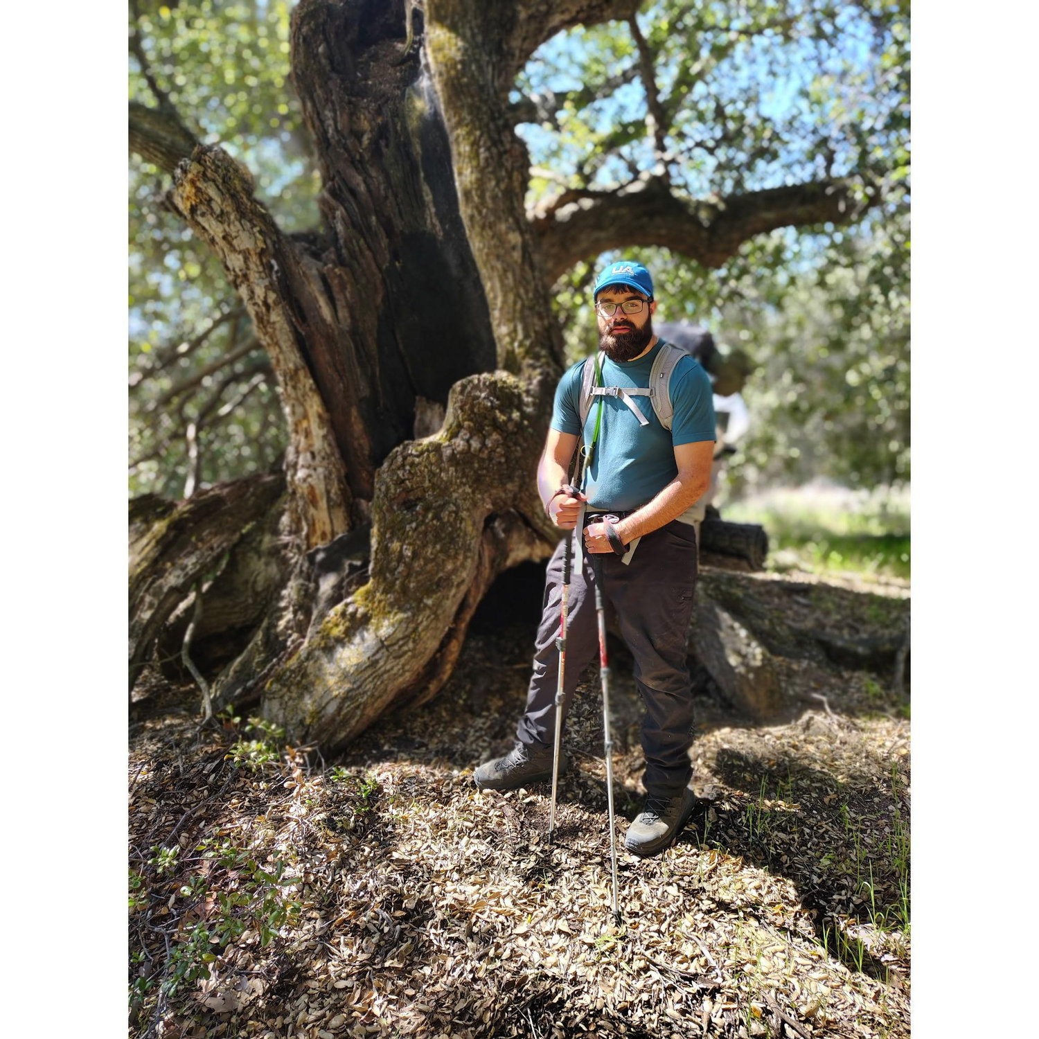 On a section of the beautiful Pacific Crest Trail.