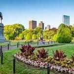 Boston Public Garden