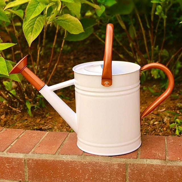 WEQUALITY 1 Gallon Watering Can for Outdoor Plants，Metal Plant Watering Can with Copper Handles,Galvanized Steel Gardening Tool，White