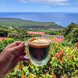 Heavenly Hawaiian Kona Coffee Farm Tours