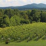 Wineries
