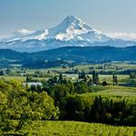 Oregon Wine Country