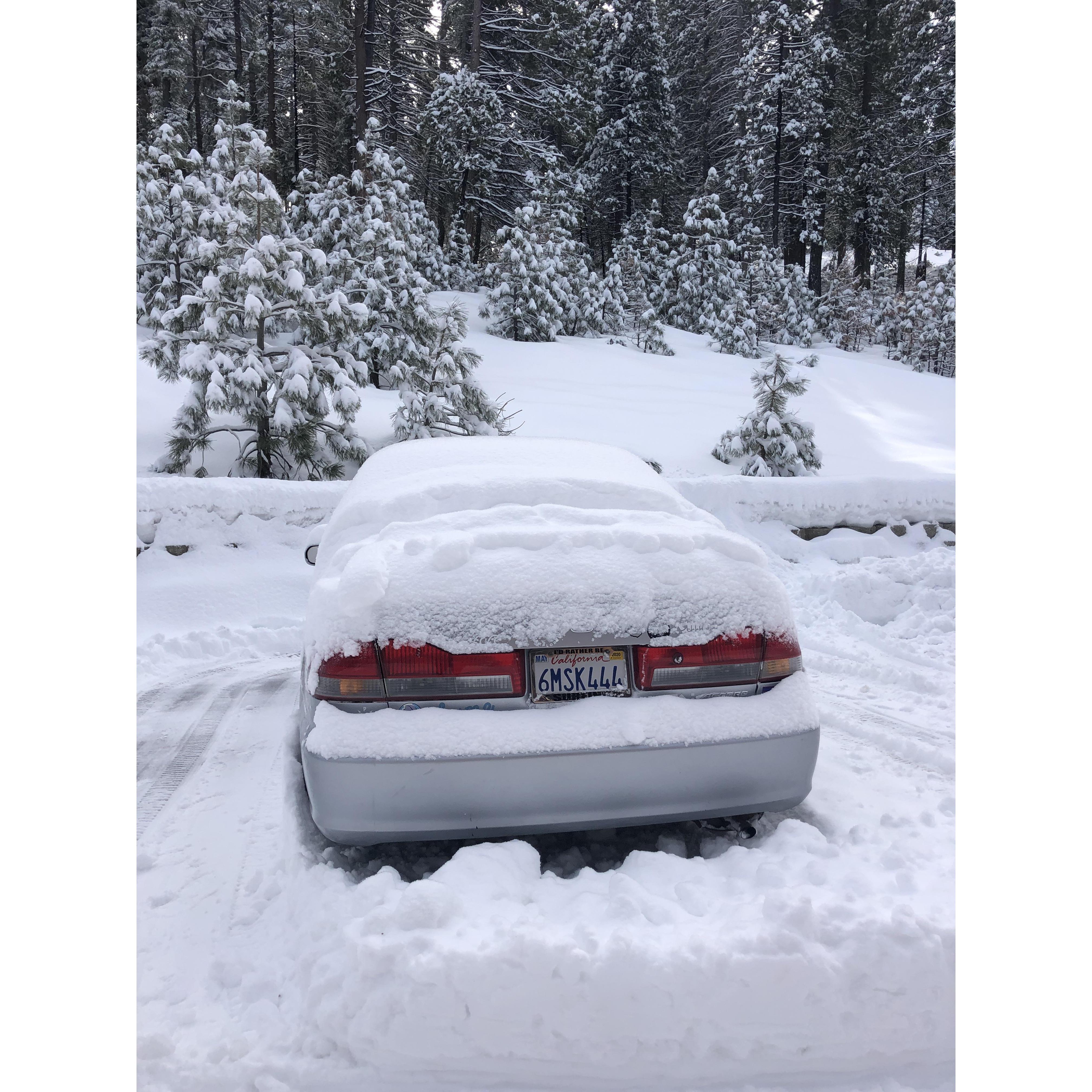 barely one day after alyssa landed back in the US from three weeks in argentina, she drove 6 hours (still extremely jet lagged) to hume to see tucker and got buried in snow
