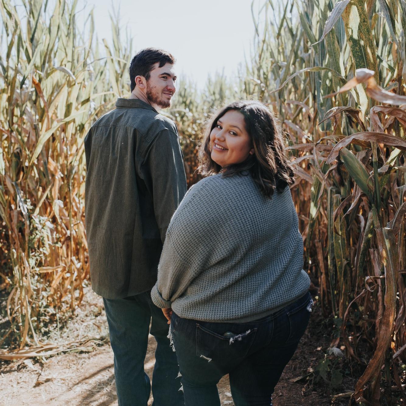 Our annual corn maze
