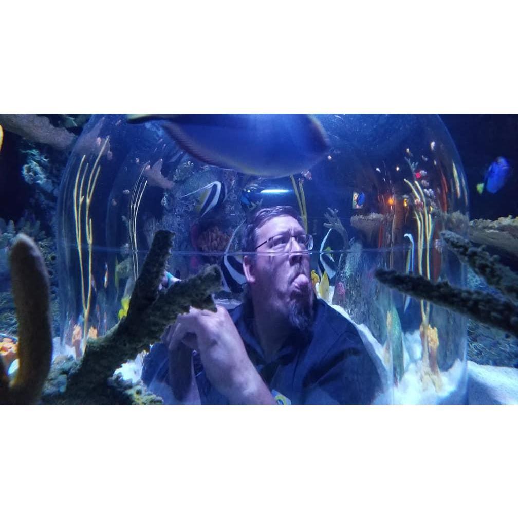Sea Life Aquarium at Mall of America... June 2018