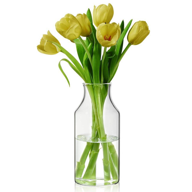 BWODYAY Clear Glass Vase, Small Glass Flower Vase, 7.6 inch Mini Vase for Home, Wedding, Living Room, Dining Table