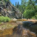 Lair o’ the Bear Park