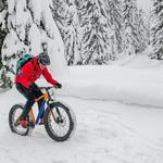 Try out some fat bikes!