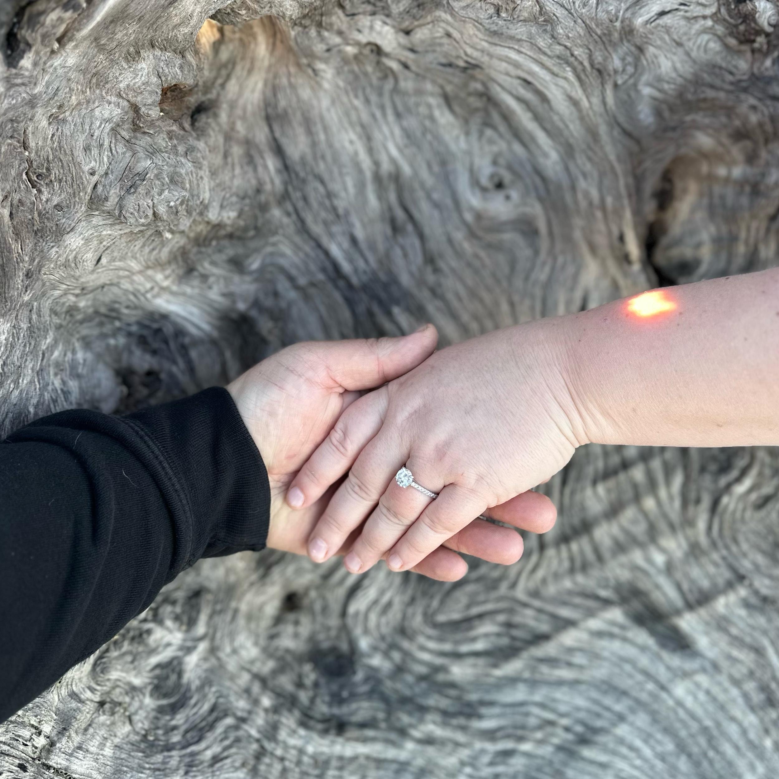 Hero Slideshow Image 3