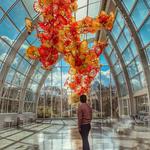 Chihuly Garden and Glass