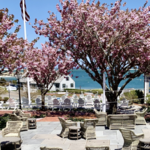 Chatham Bars Inn - Patio