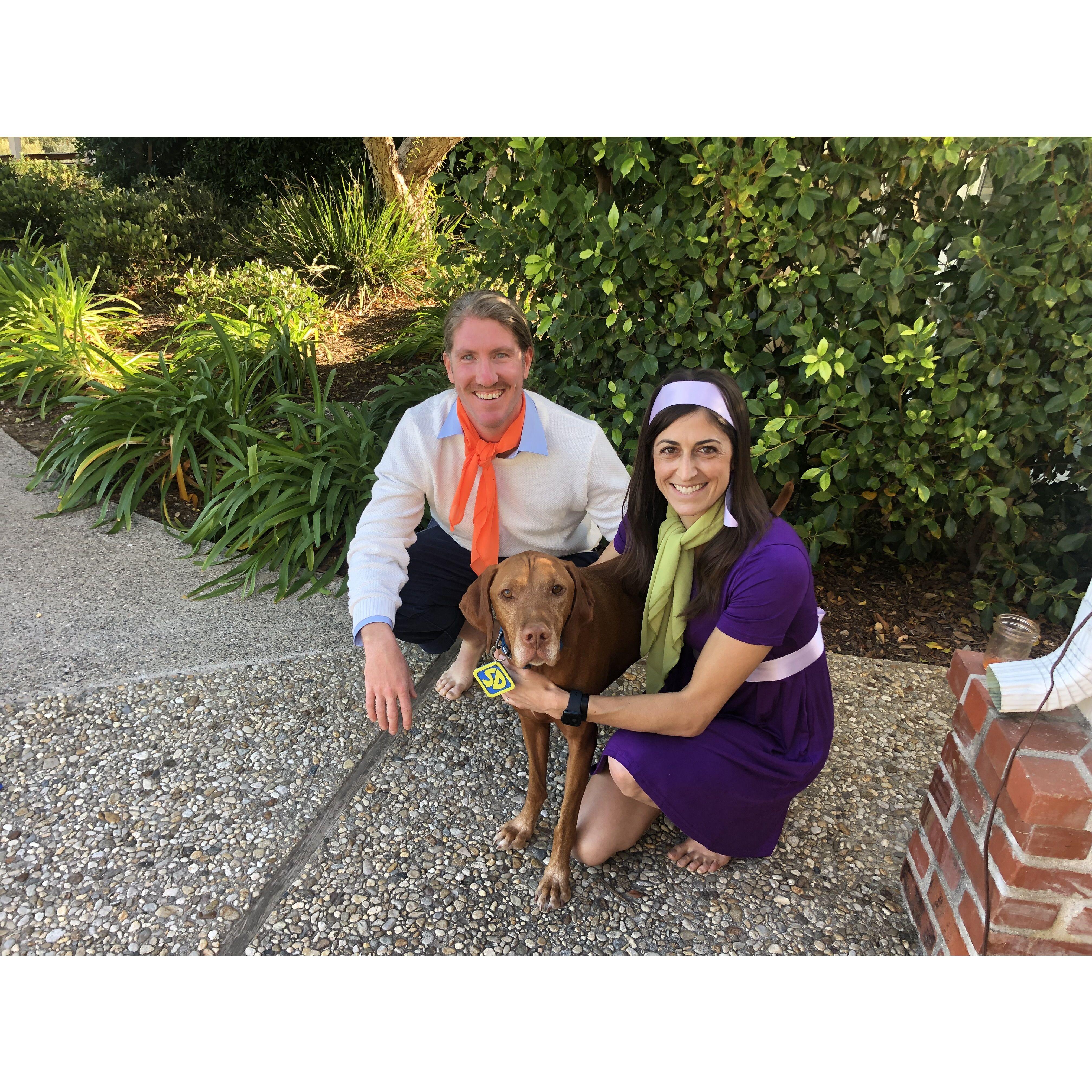 Happy Halloween from the Scooby Dooby Doo crew.