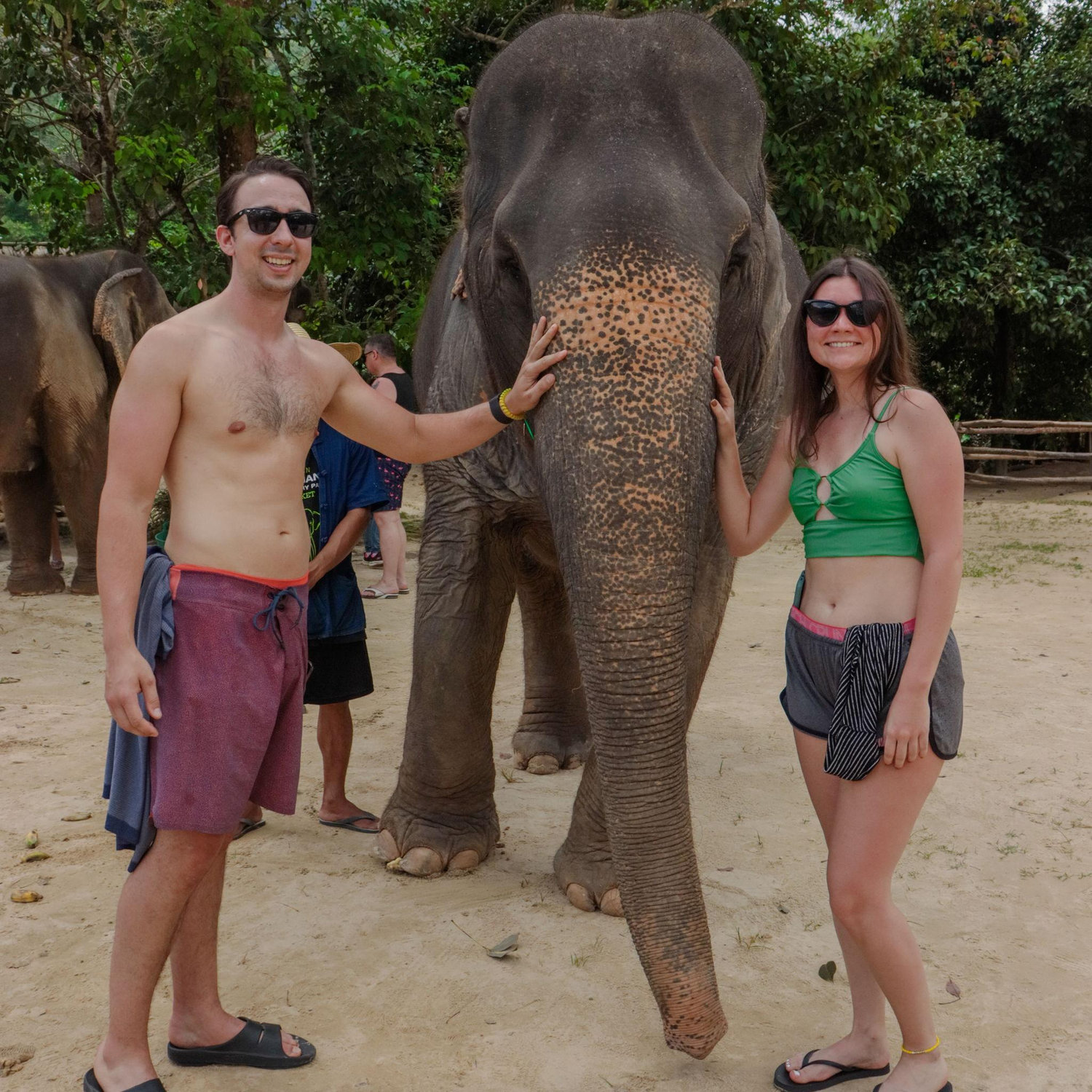 One of Marissa's favorite travel memories - feeding and bathing the elephants at the Green Elephant Sanctuary in Phuket.