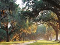 Boone Hall Plantation & Gardens