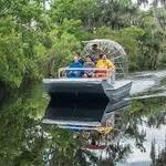 swamp tours