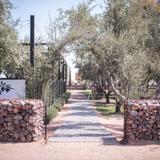 Queen Creek Olive Mill