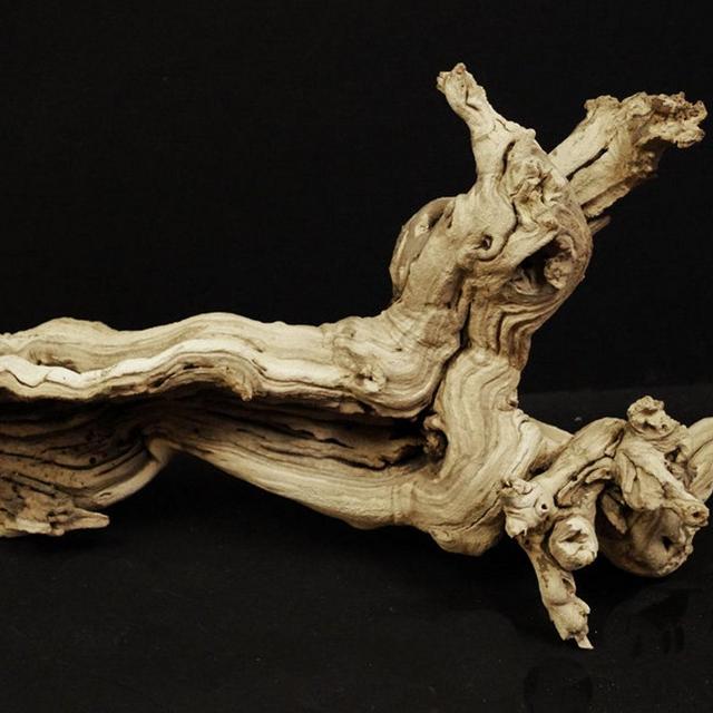 Exotic Grapewood 24"