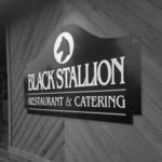 The Black Stallion