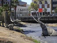 The La Brea Tar Pits and Museum