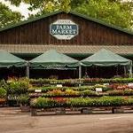 Linvilla Orchards