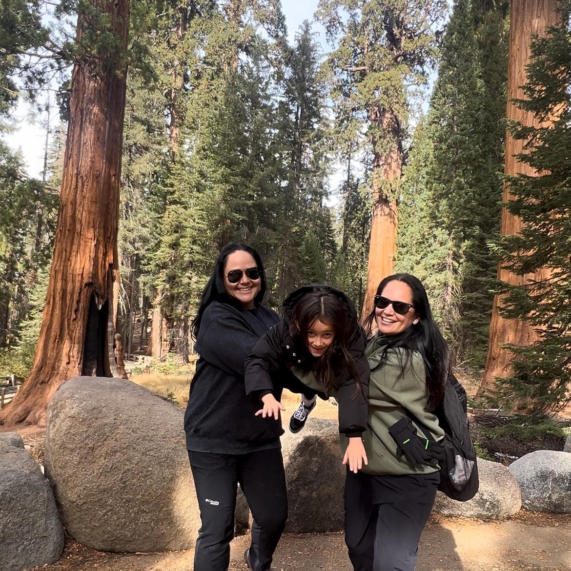 Sequoia