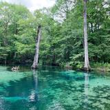 Ponce de Leon Springs State Park