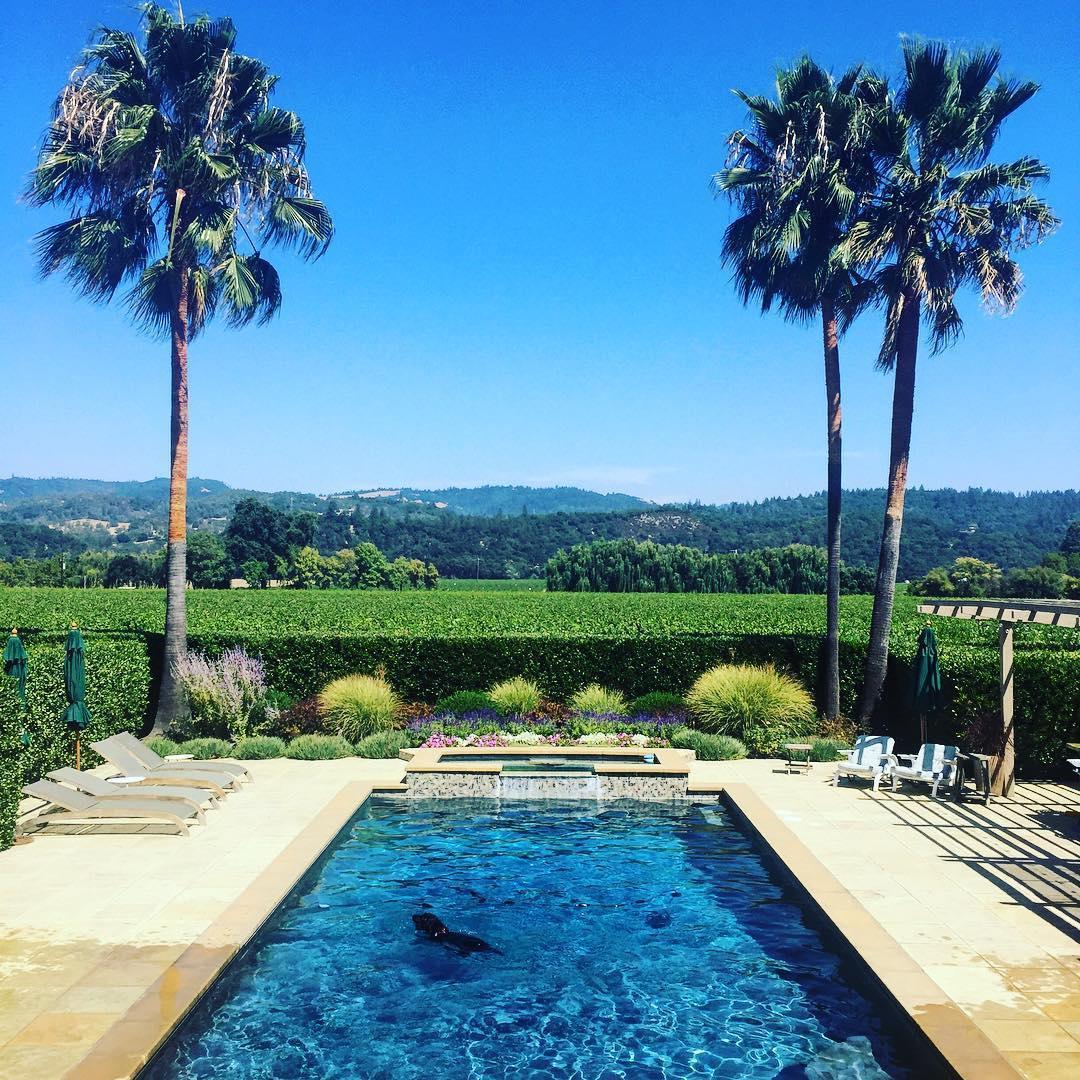 The Instagram photo that started it all.