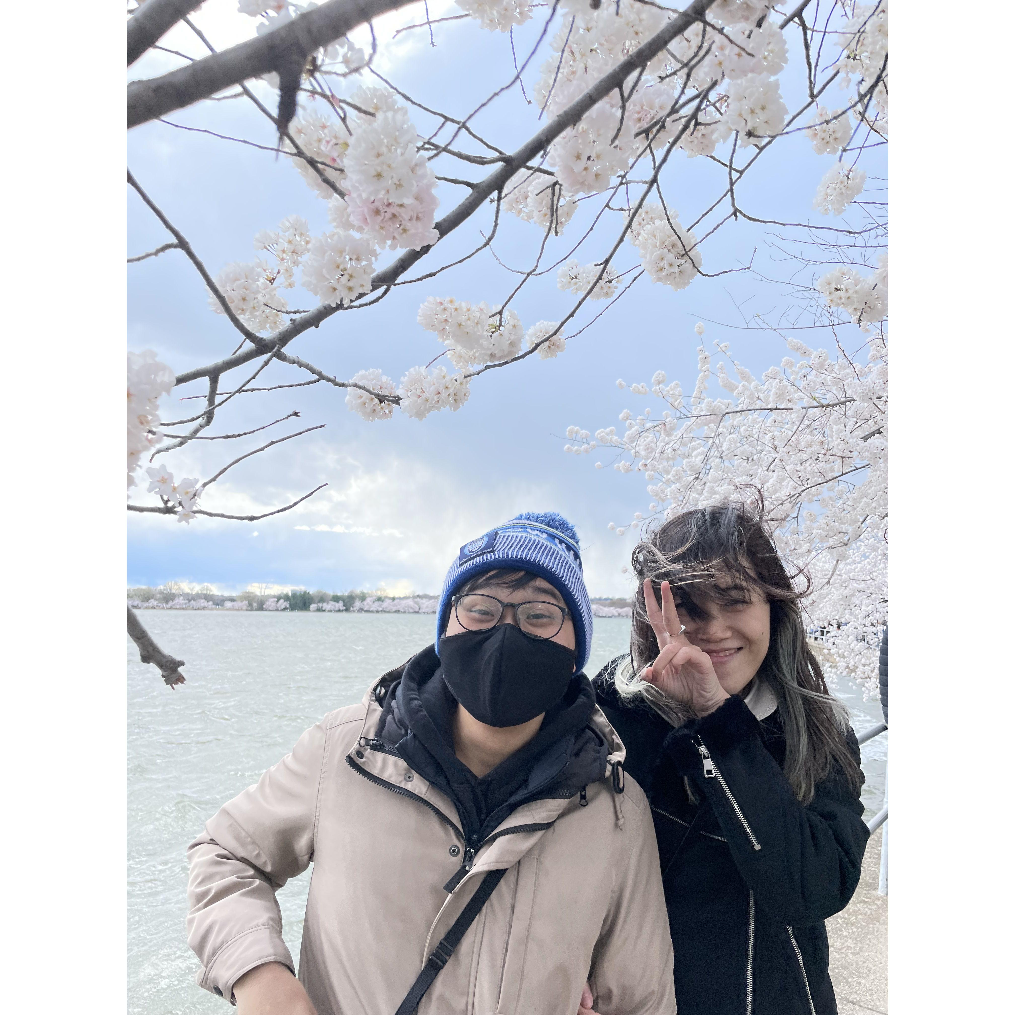 [2022-03] Cherry Blossom blooming at DC. What a icy cold day!