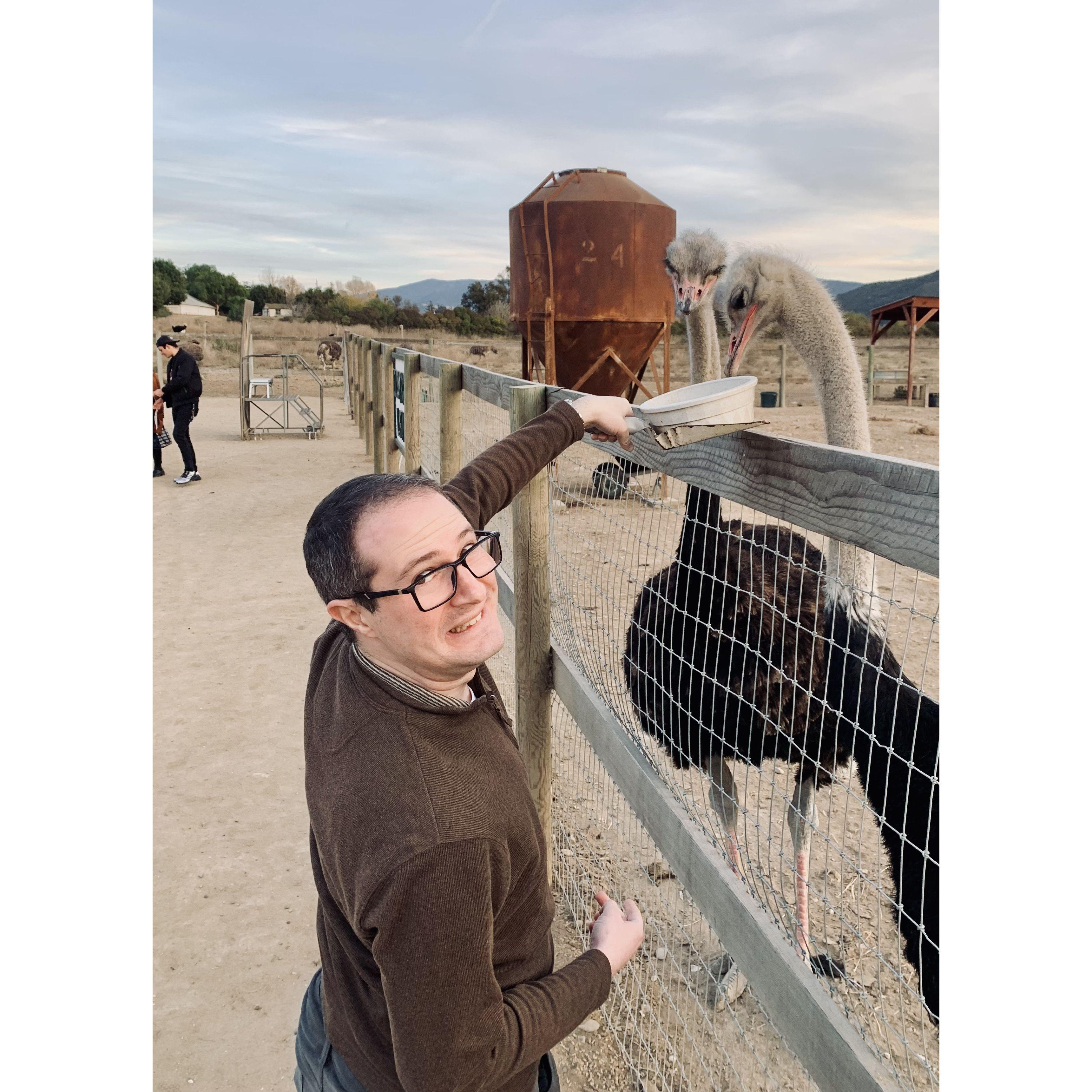 Steven tried to make friends at an ostrich farm in California. Unfortunately, this potential friend tried to bite Steven's hand. Needless to say, the friendship didn't blossom.