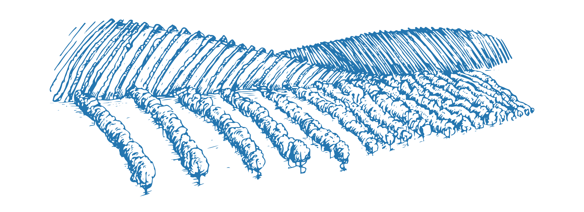 The Wedding Website of Samantha Kaitlin Abramovich and Joshua Cole Taylor