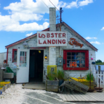 Lobster Landing