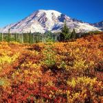 Mount Rainier