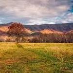 Cades Cove Scenic Loop