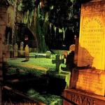 Dark Side of Charleston Tour