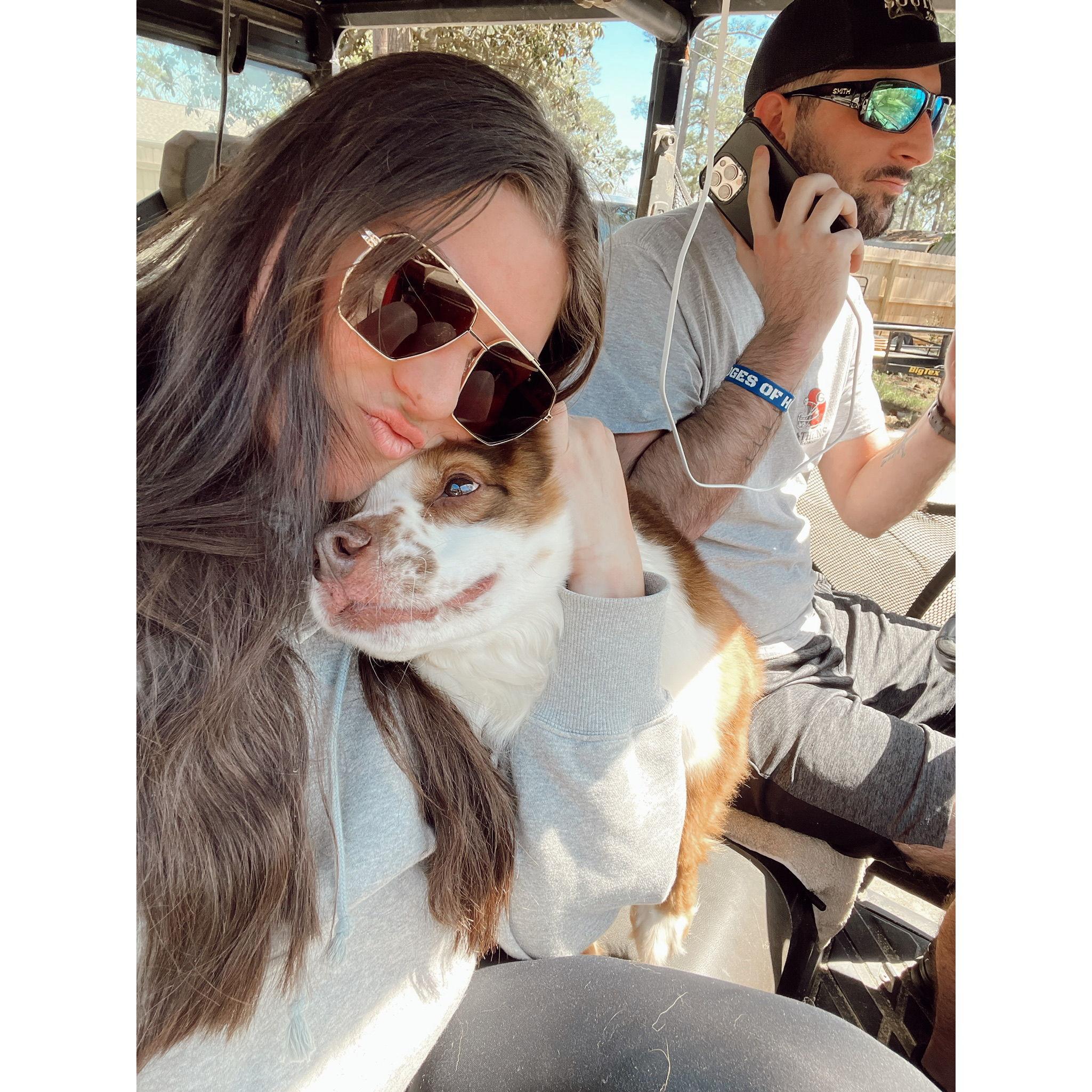 Bear's Favorite Thing: The Golf Cart
