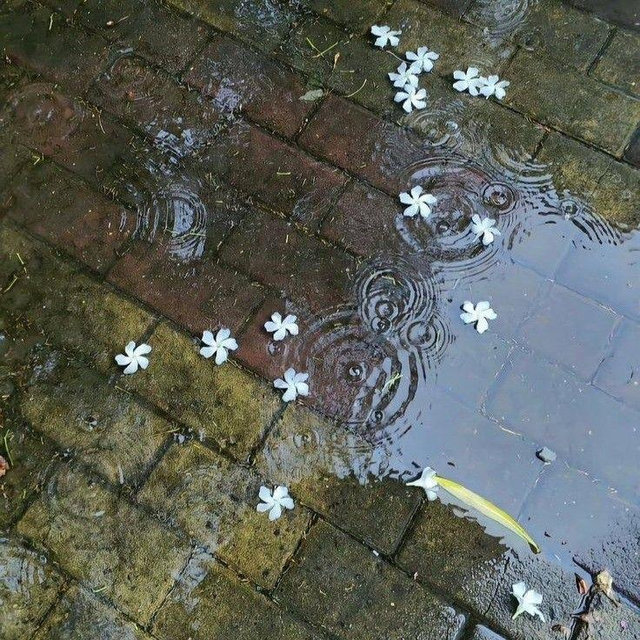 Rainy day fund