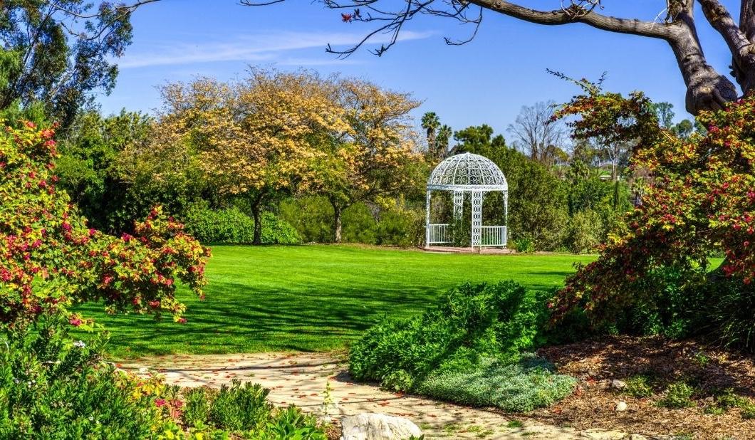The Wedding Website of Cassandra Isabella Lenart and Joseph Jordan Moss