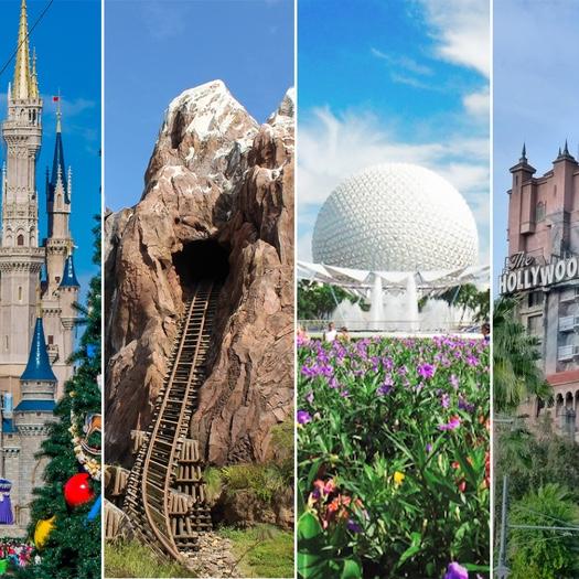Disney Theme Park Passes