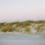 Beaches- Folly Beach, Sullivans Island, Isle of Palms, Kiawah Island