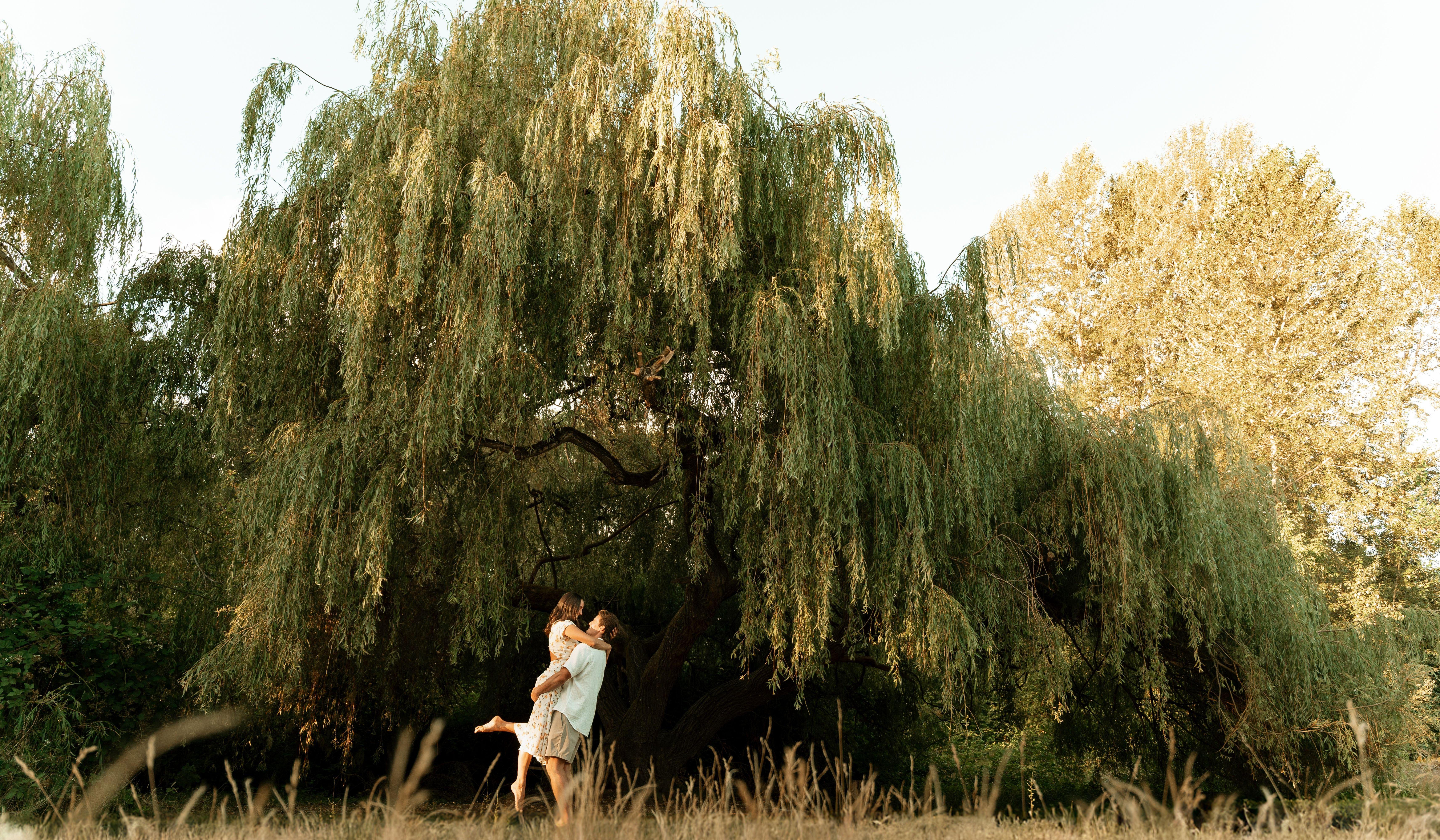 Hero Slideshow Image 1