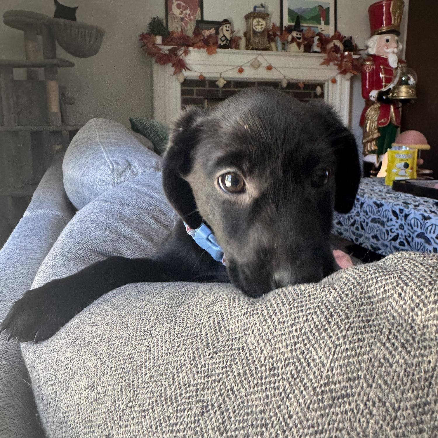 Moby in the first few days he was home