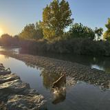Cherry Creek ​Dog Of​f Leash Area