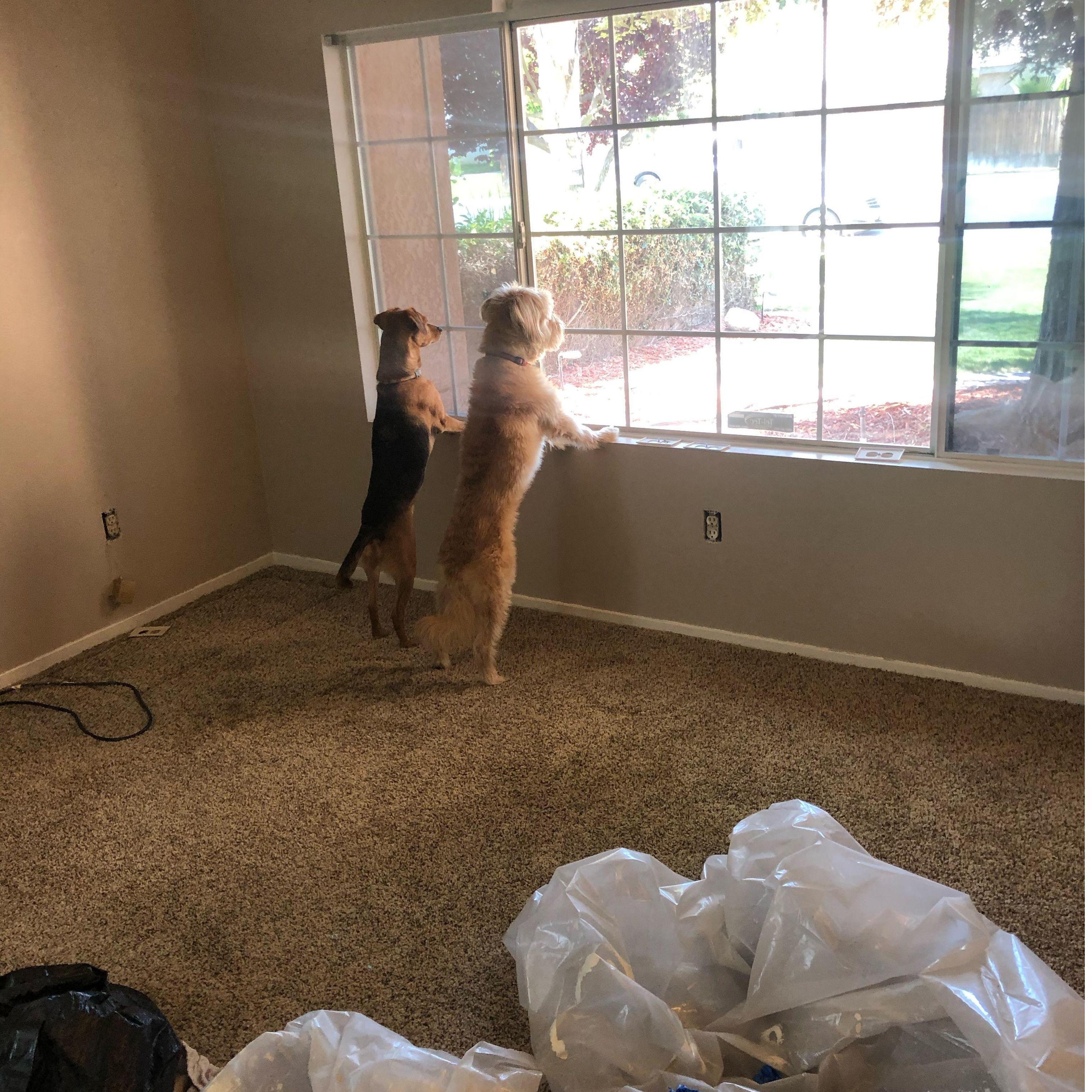 First Day at Our New House. We Got to Work