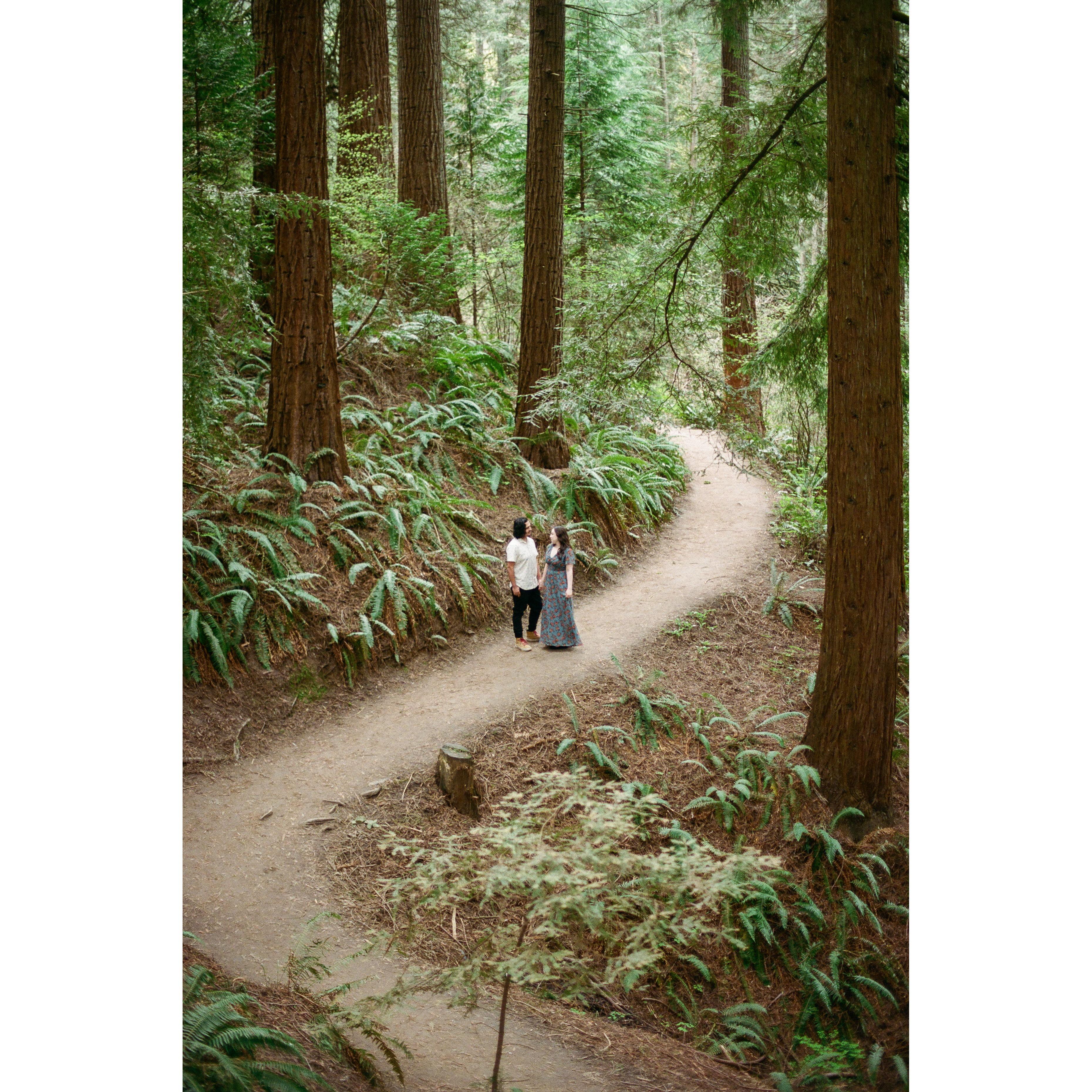Engagement Photos by Andreia Claro