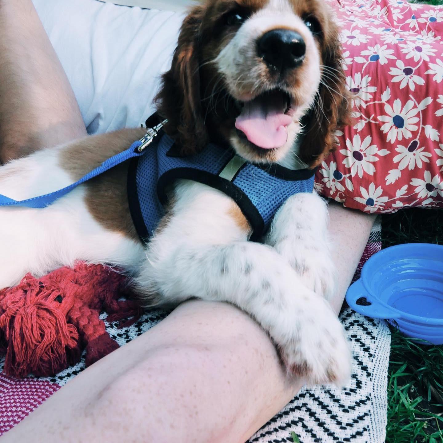 CHUMLEY'S FIRST WEEKEND HOME